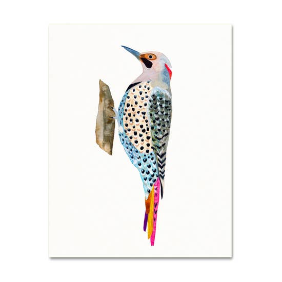 Northern Flicker Art Print