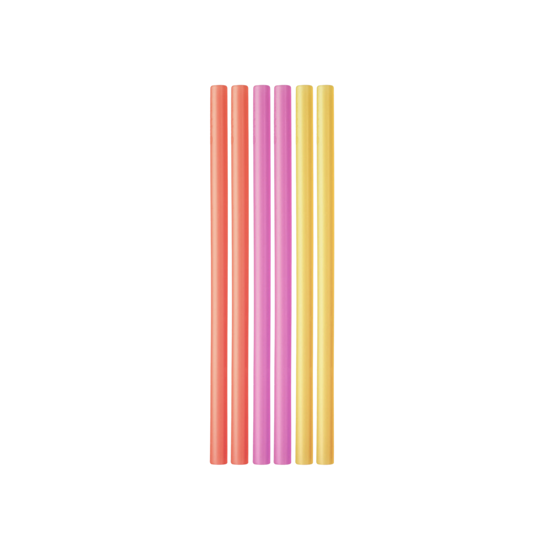 Standard Size Straw - Pack of 6 | Spice/Raspberry/Tart