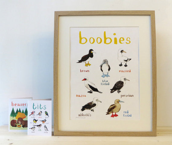 Boobies A4 print