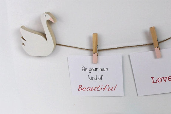 Swan Art Display