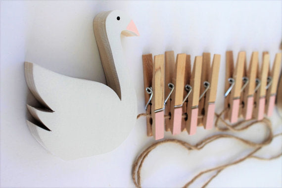 Swan Art Display