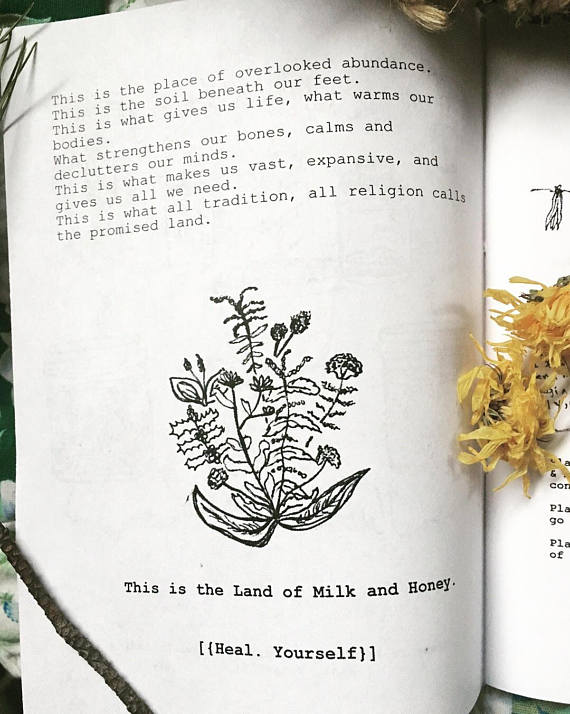 Land Of Milk and Honey Zine Volume 1