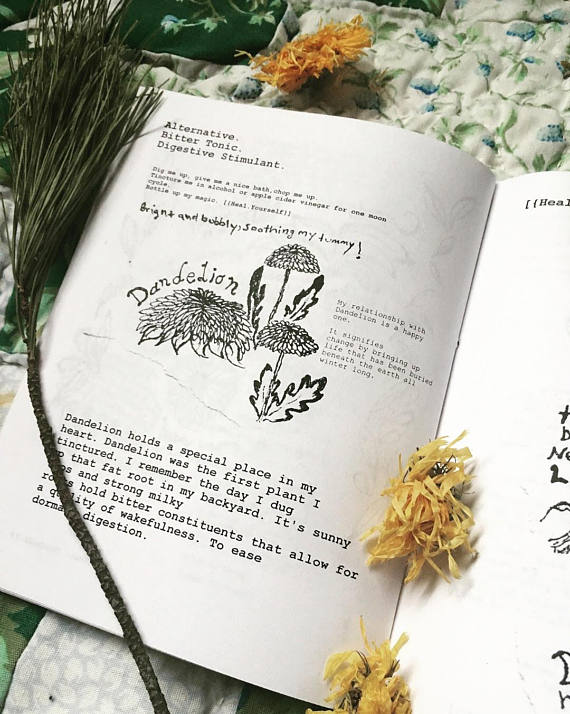Land Of Milk and Honey Zine Volume 1