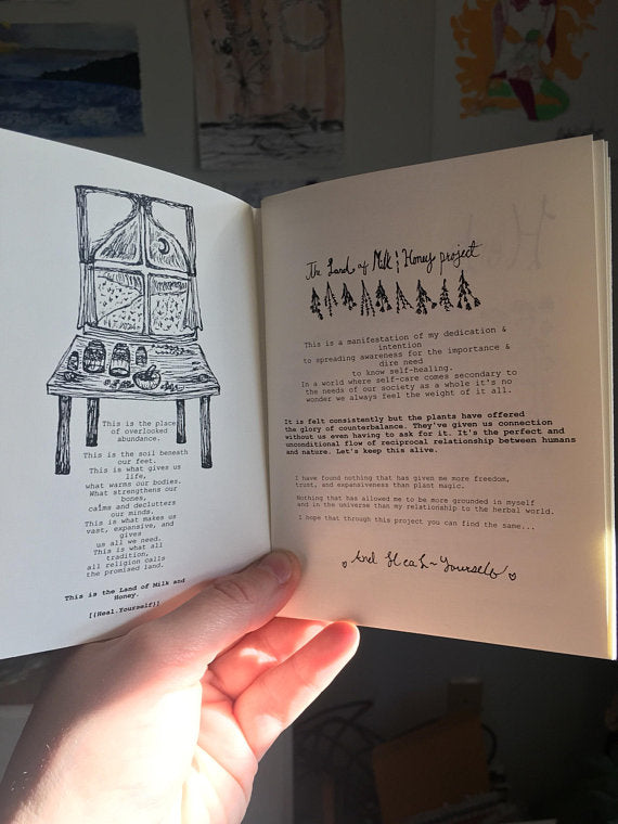Land Of Milk and Honey Zine Volume 2