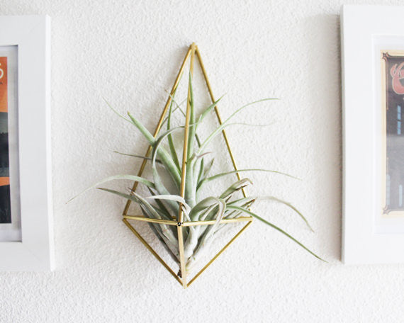 The Original Wall Sconce Brass Sconce
