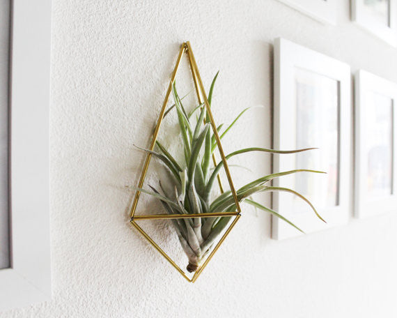 The Original Wall Sconce Brass Sconce