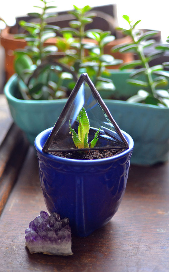 Beveled Glass Pyramid Air Plant Holder/