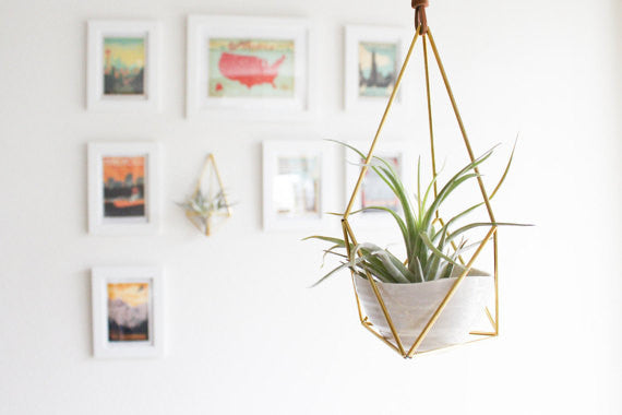 Hanging Brass Air Plant Holder 2' Leather Cord