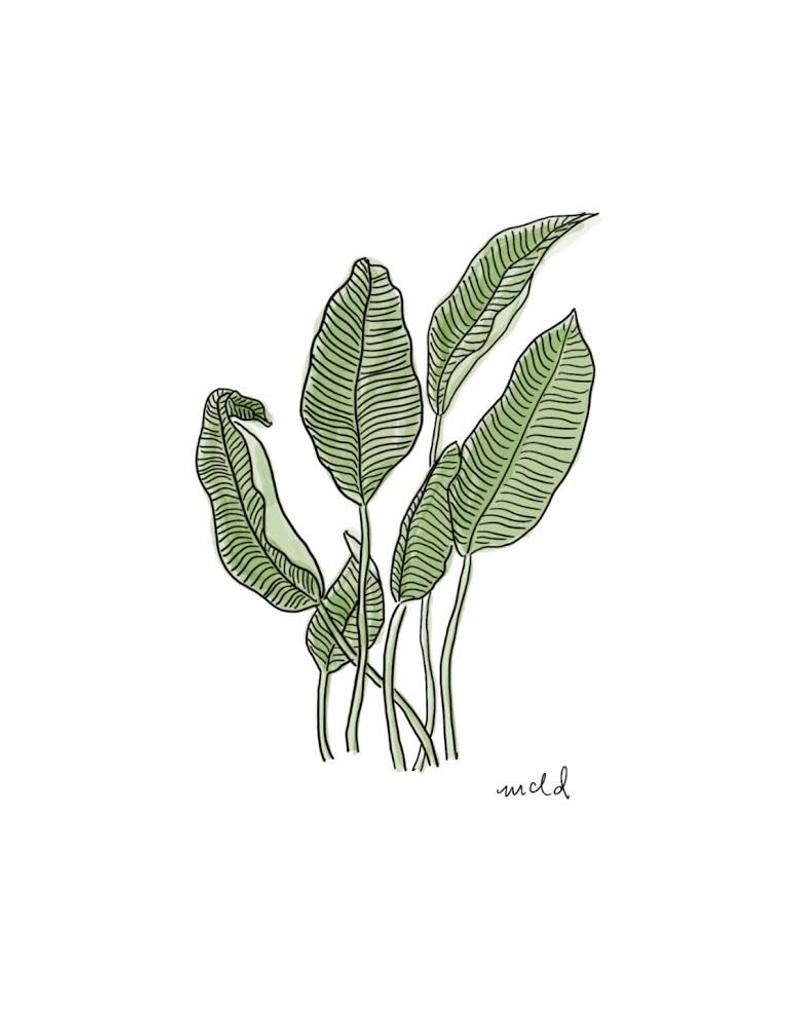 Banana Leaves 8x10 Print