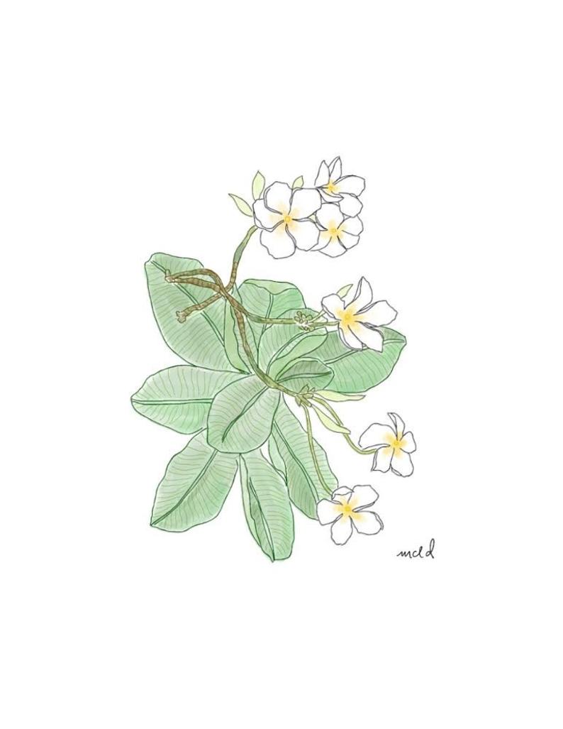 Plumeria 8x10 Print
