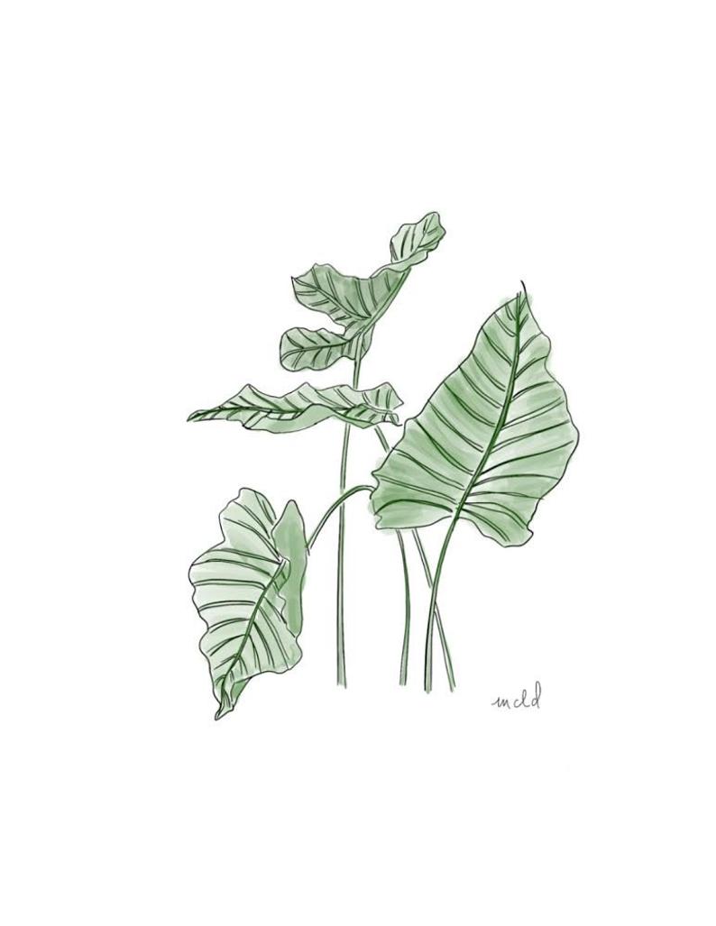 Alocasia 8x10 Print