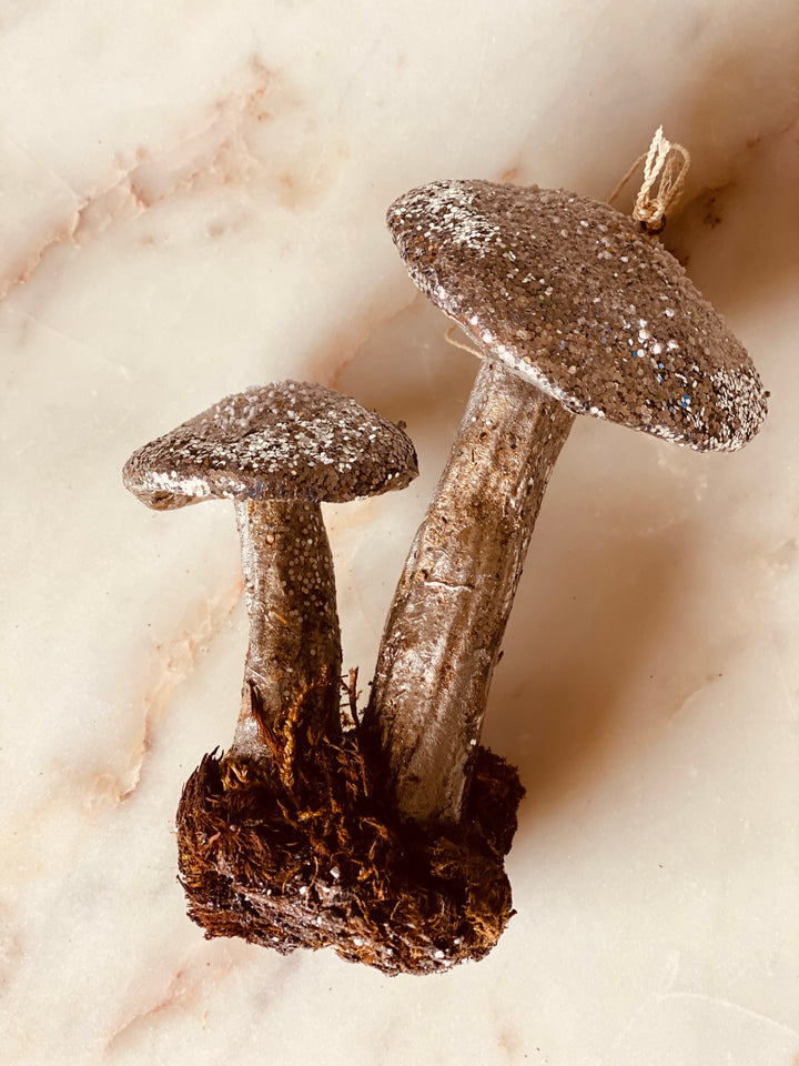 Toadstool Ornament - Assorted