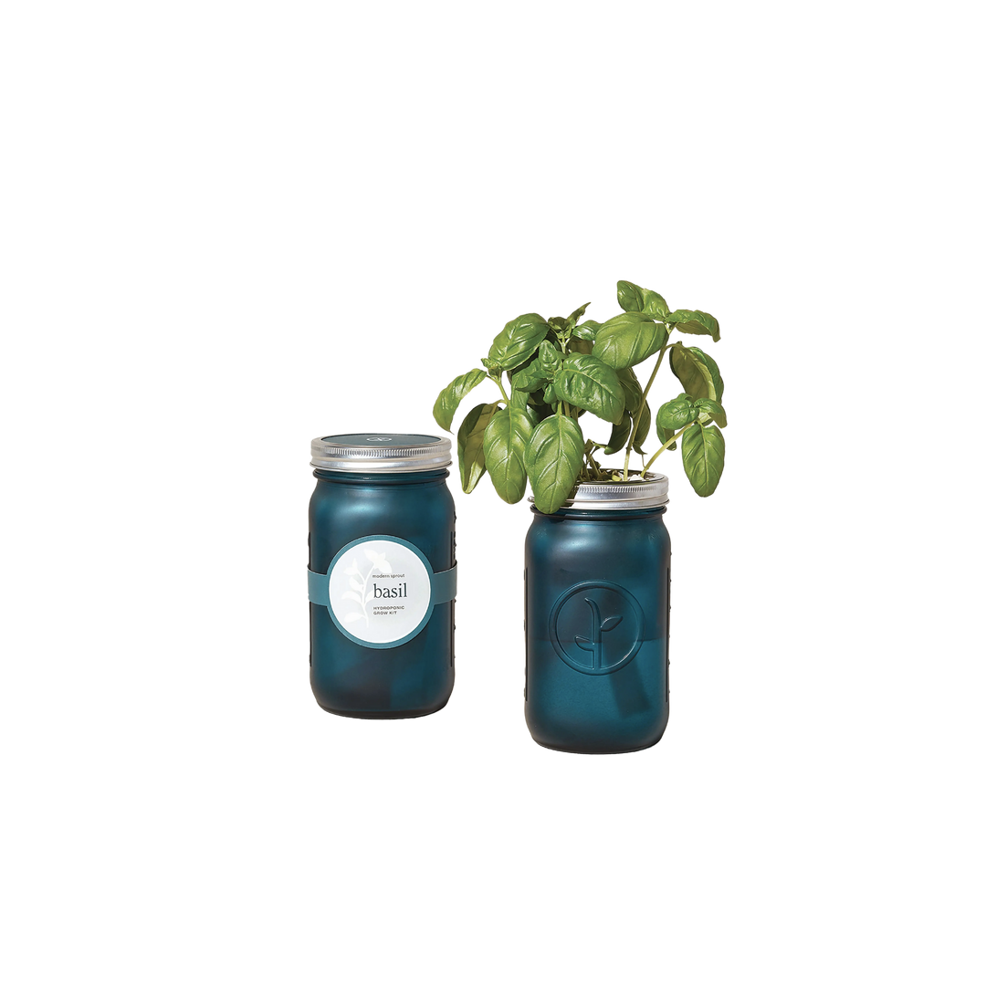 Garden Jar - Organic Basil