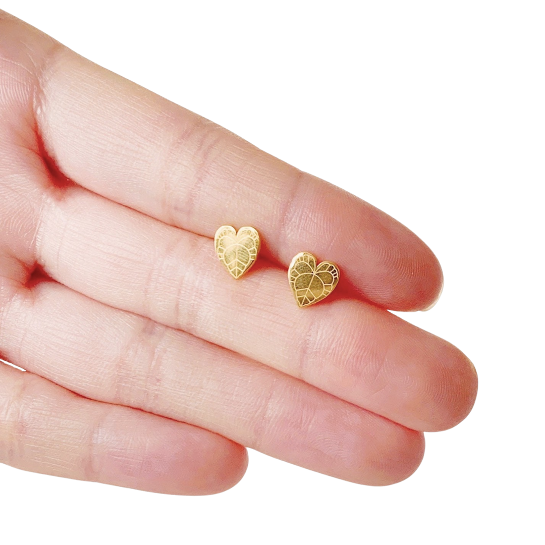 Anthurium Clarinervium Plant Studs