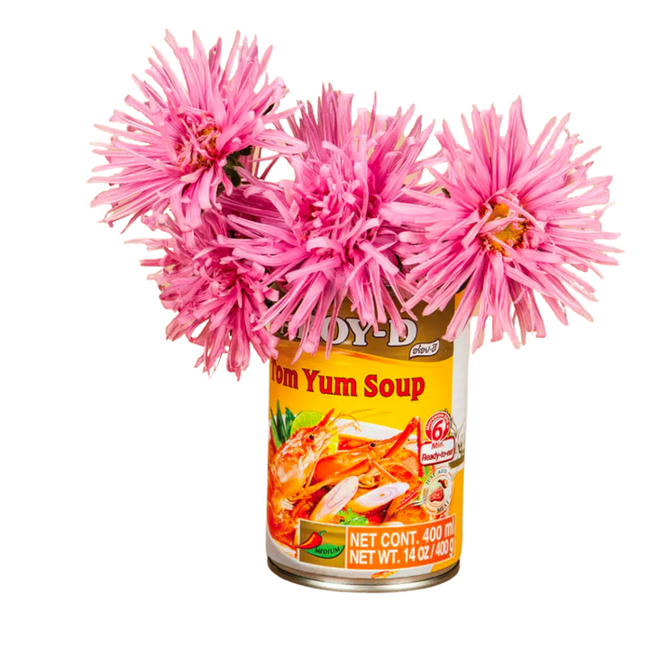 Valkyrie Pink Aster Seeds