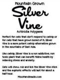 Silvervine Catnip Alternative Cat Chews