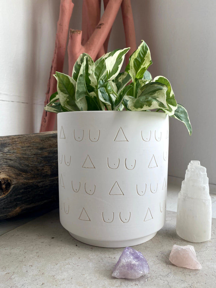 Triangles and Tatas Pot