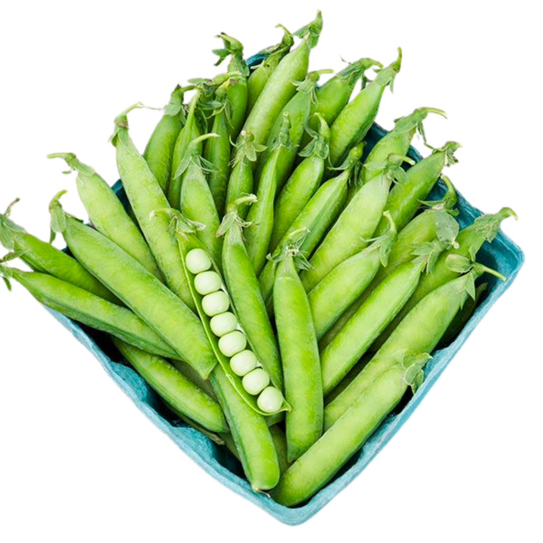 Laxtons #9 Shell Pea: 1 Oz