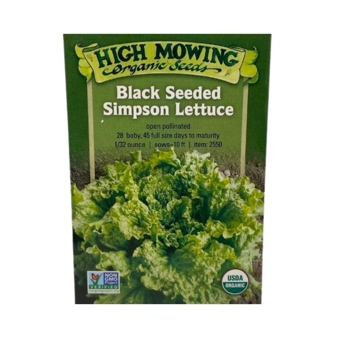 Black Seeded Simpson Lettuce: 1/32 oz.