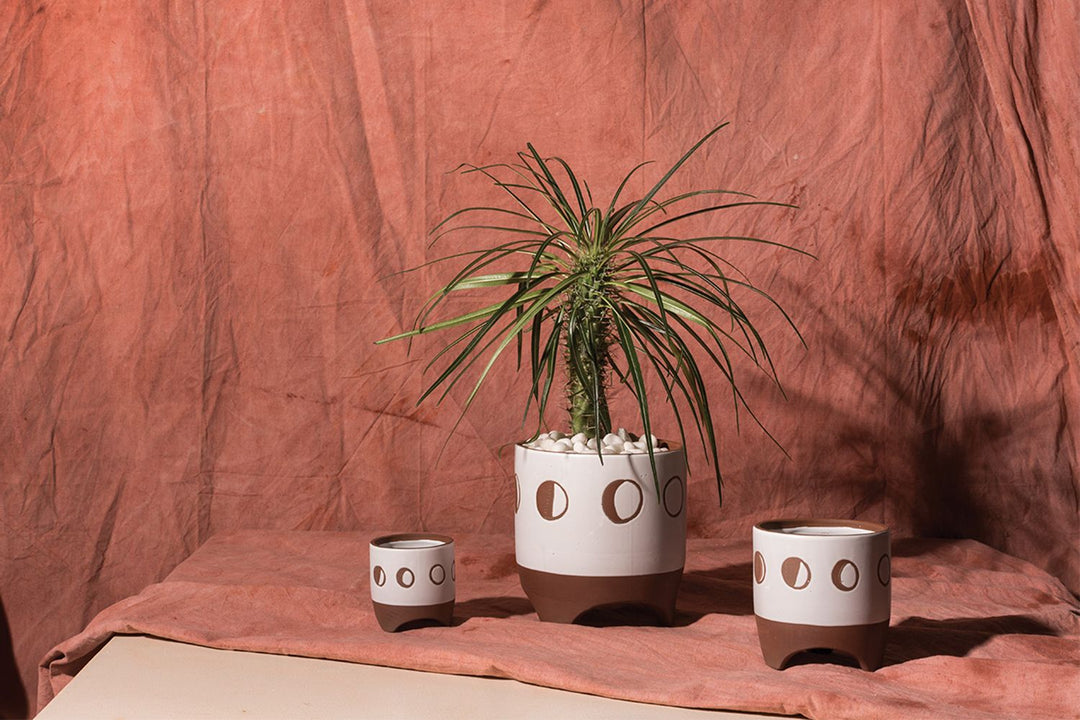 Moon Phases Footed Pot